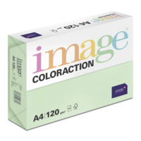 Papier Couleur Forest/Vert A4 120 g/m² Image Coloraction