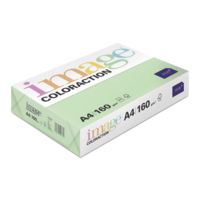 Papier Couleur Forest/Vert A4 160 g/m² Image Coloraction