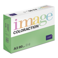 Papier Couleur A3 80 g/m² Dublin/Chlorophylle Image Coloraction