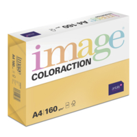 Papier Couleur Venezia/Vieil Or 160 g/m² A3 Image Coloraction