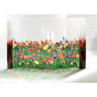 Film fleurs Coquelicots