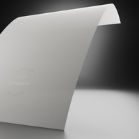 Conqueror Connoisseur Wove Soft White 120g/m² 450mm x 640mm avec filigrane Paquet de 250 feuilles