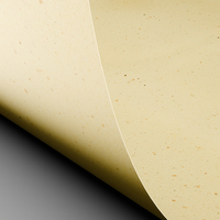 Papier Curious Particles, Cream Rose, 240g/m², 700mm x 1000mm Paquet de 100 feuilles