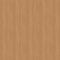 Film de Décoration 3M DINOC WG832