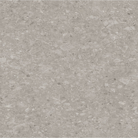 Film de Décoration 3M DINOC ST2171MT