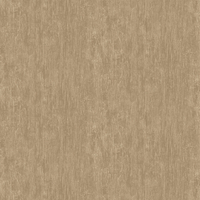 Film de Décoration 3M DINOC AE1643