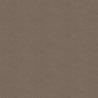 Film de Décoration 3M DINOC NU1240