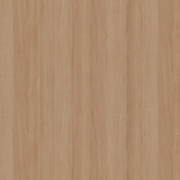 Film de Décoration 3M DINOC FW1129