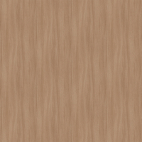 Film de Décoration 3M DINOC FW1214EX