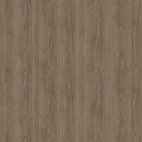 Film de Décoration 3M DINOC PW2310MT