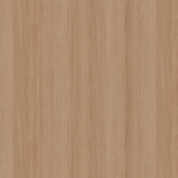 Film de Décoration 3M DINOC FW1129EX