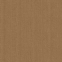 Film de Décoration 3M DINOC WG256