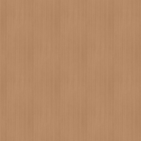 Film de Décoration 3M DINOC WG453