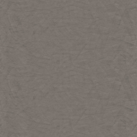 Film de Décoration 3M DINOC FA1166