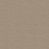 Film de Décoration 3M DINOC NU1238