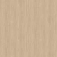 Film de Décoration 3M DINOC DW1875MT