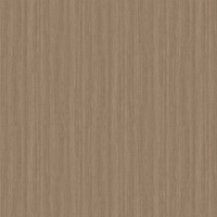 Film de Décoration 3M DINOC FW1212