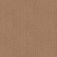 Film de Décoration 3M DINOC WG837