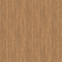 Film de Décoration 3M DINOC DW2207MT