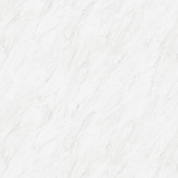 Film de Décoration 3M DINOC ST1831