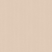 Film de Décoration 3M DINOC FW788