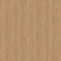 Film de Décoration 3M DINOC DW1876MT