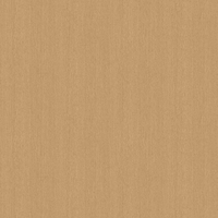 Film de Décoration 3M DINOC WG1221