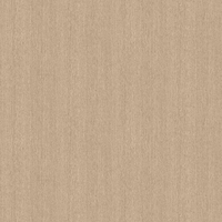 Film de Décoration 3M DINOC WG1220