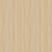 Film de Décoration 3M DINOC DW1902MT