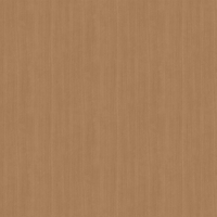 Film de Décoration 3M DINOC FW1279