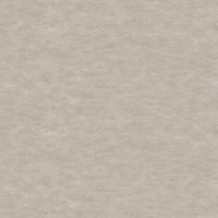 Film de Décoration 3M DINOC AE2160