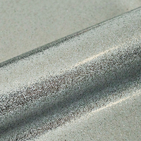Siser, Sparkle, irisé, polyuréthane, SK0021 - silver sword, 120µm, 500mm x 25.00m, hotmelt, Boîte de 1 rouleau, SK0021/0.50