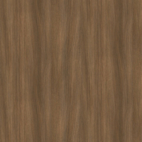 Film de Décoration 3M DINOC WG1710