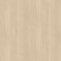 Film de Décoration 3M DINOC DW2197MT