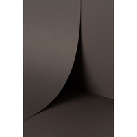 Papier Keaykolour Blackberry 300g/m² 700mm x 1000mm Paquet de 100 feuilles