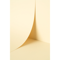 Papier Keaykolour China White 300g/m² 700mm x 1000mm Paquet de 100 feuilles