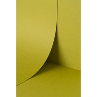 Papier Keaykolour Kiwi 300g/m² 700mm x 1000mm Paquet de 100 feuilles