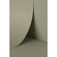 Papier Keaykolour Lichen 300g/m² 700mm x 1000mm Paquet de 100 feuilles