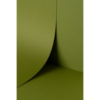 Papier Keaykolour Meadow 300g/m² 700mm x 1000mm Paquet de 100 feuilles