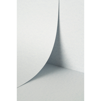 Papier Keaykolour Parchment Grey 300g/m² 700mm x 1000mm Paquet de 100 feuilles