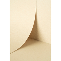Papier Keaykolour Parchment Natural 170g/m² 700mm x 1000mm Paquet de 125 feuilles