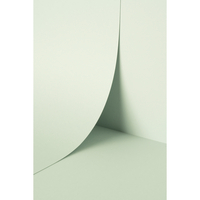 Papier Keaykolour Pastel Green 120g/m² 700mm x 1000mm Paquet de 250 feuilles