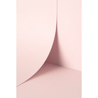 Papier Keaykolour Pastel Pink 300g/m² 700mm x 1000mm Paquet de 100 feuilles