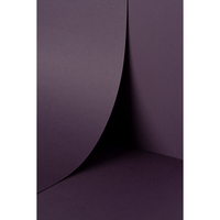 Papier Keaykolour Prune 120g/m² 700mm x 1000mm Paquet de 250 feuilles