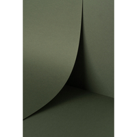 Papier Keaykolour Sequoia 120g/m² 700mm x 1000mm Paquet de 250 feuilles