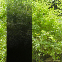 3M Fasara, film anti-regard, Dégradé polyester, Illumina Black, 80µm 1270mm x 30.00m, adhésif permanent Boîte de 1 rouleau, ILLUMINB