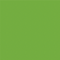 Avery 800 brillant 814 tilleul adhésif permanent 1230 mm x 50 m(814/1.23)