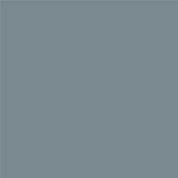 Avery 800 brillant 825 gris moyen adhésif permanent 1230 mm x 50 m(825/1.23)
