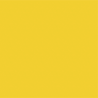 Avery 900 brillant 928-01 Bright Yellow adhésif permanent 1230 mm x 50 m(928-01/1.23)