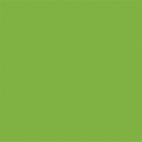 Avery 900 brillant 956 vert gazon adhésif permanent 1230 mm x 25 m(956/1.23)